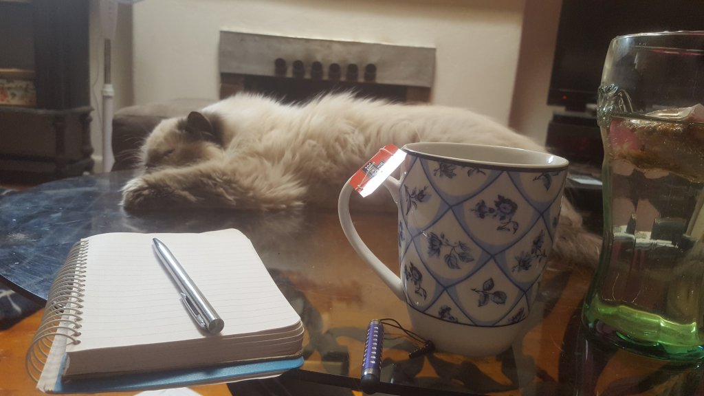 Coffee table with a notebook and pen, cup of tea, glass of water, and a sleeping Persian cat.